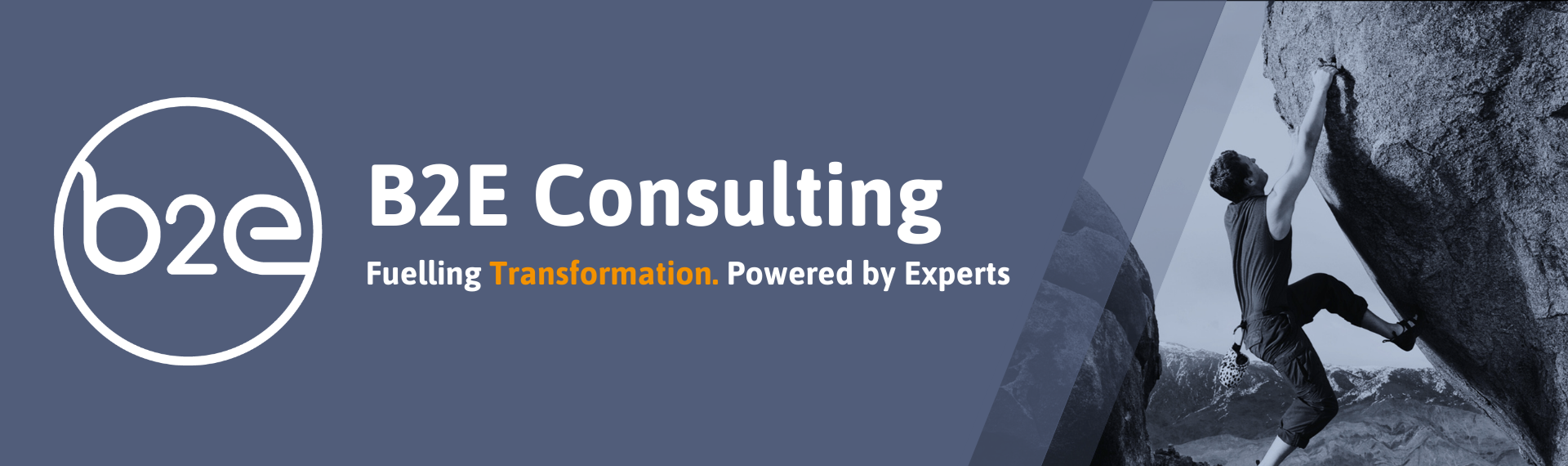 B2E Consulting